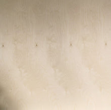 画像をギャラリービューアに読み込む, BB/BB 1525mm×3050mm