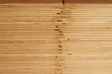 画像をギャラリービューアに読み込む, 低速燃焼バーチ1830mm×1525mm BB/BB