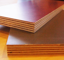 画像をギャラリービューアに読み込む, バーチフィルム(ライトブラウン)2440mm×1220mm