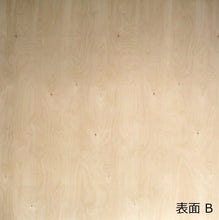 画像をギャラリービューアに読み込む, B/BB 2440mm×1220mm
